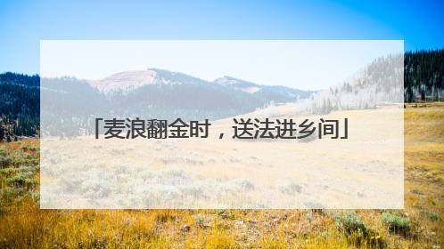 麦浪翻金时，送法进乡间