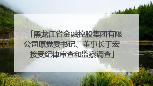 黑龙江省金融控股集团有限公司原党委书记、董事长于宏接受纪律审查和监察调查