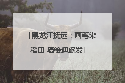 黑龙江抚远：画笔染稻田 墙绘迎旅发