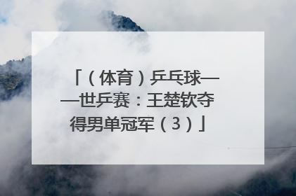（体育）乒乓球——世乒赛：王楚钦夺得男单冠军（3）