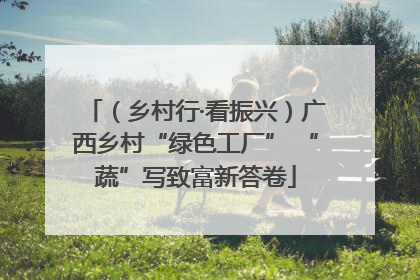 （乡村行·看振兴）广西乡村“绿色工厂” “蔬”写致富新答卷