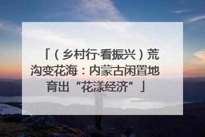 （乡村行·看振兴）荒沟变花海：内蒙古闲置地育出“花漾经济”