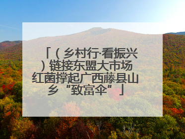 （乡村行·看振兴）链接东盟大市场 红菌撑起广西藤县山乡“致富伞”