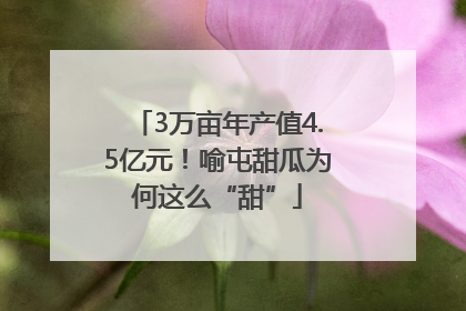 3万亩年产值4.5亿元！喻屯甜瓜为何这么“甜”