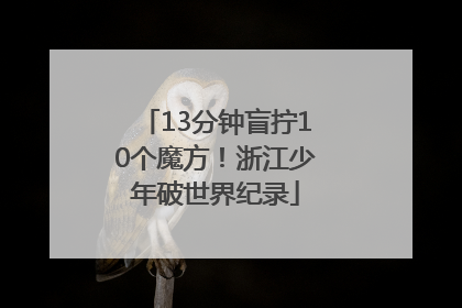 13分钟盲拧10个魔方！浙江少年破世界纪录
