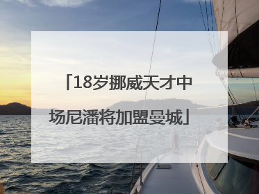 18岁挪威天才中场尼潘将加盟曼城