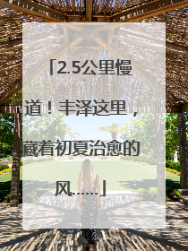 2.5公里慢道！丰泽这里，藏着初夏治愈的风……