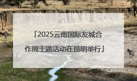 2025云南国际友城合作周主题活动在昆明举行