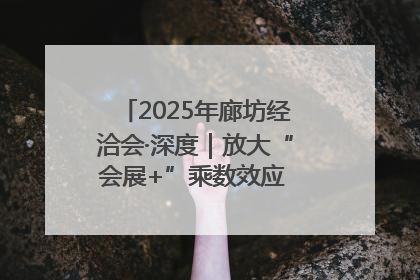 2025年廊坊经洽会·深度｜放大“会展+”乘数效应 打造消费新场景