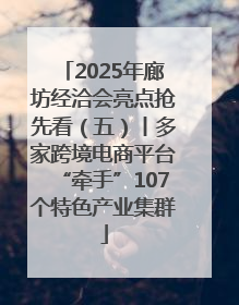 2025年廊坊经洽会亮点抢先看（五）丨多家跨境电商平台“牵手”107个特色产业集群