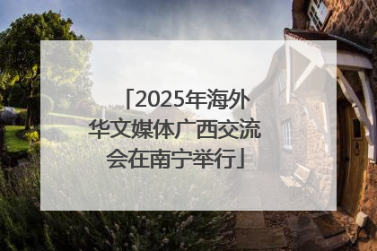 2025年海外华文媒体广西交流会在南宁举行