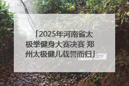 2025年河南省太极拳健身大赛决赛 郑州太极健儿载誉而归