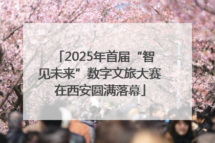2025年首届“智见未来”数字文旅大赛在西安圆满落幕