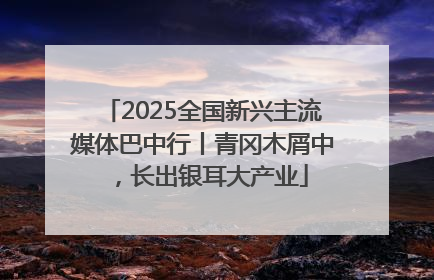 2025全国新兴主流媒体巴中行丨青冈木屑中，长出银耳大产业