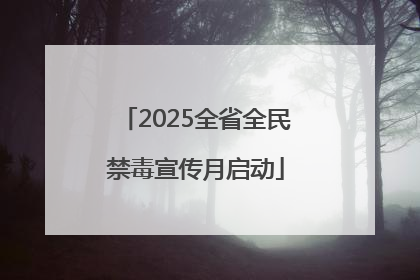 2025全省全民禁毒宣传月启动