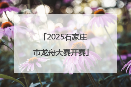 2025石家庄市龙舟大赛开赛