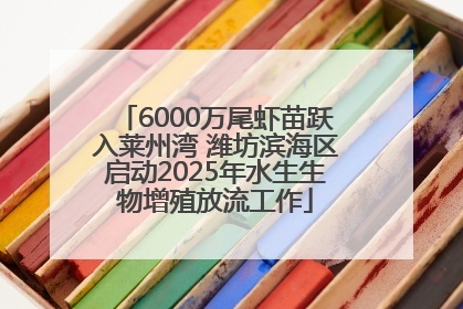 6000万尾虾苗跃入莱州湾 潍坊滨海区启动2025年水生生物增殖放流工作