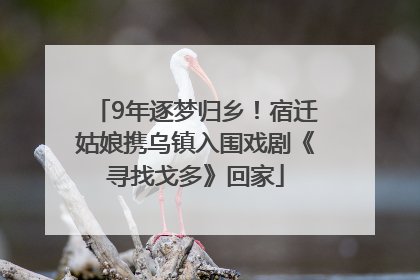 9年逐梦归乡！宿迁姑娘携乌镇入围戏剧《寻找戈多》回家