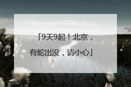 9天9起！北京，有蛇出没，请小心