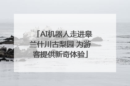 AI机器人走进皋兰什川古梨园 为游客提供新奇体验